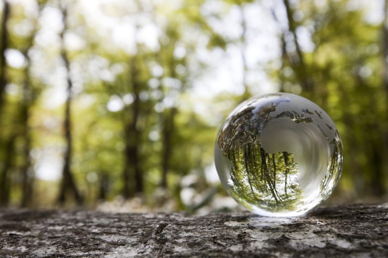 Transparenz und Nachvollziehbarkeit: Entscheidungen und Arbeitsprozesse im Hilfeprozess verständlich erklären